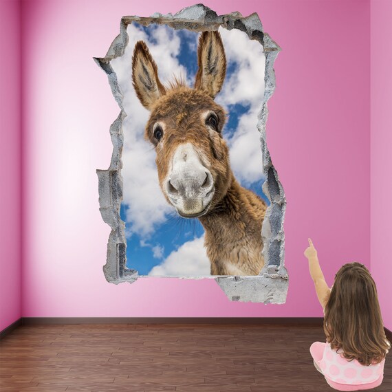 Burro pared new arrivals
