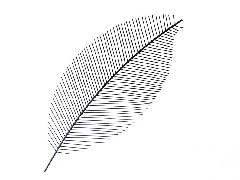 May include: A black, stylized feather illustration against a white background. The feather features a central stem with numerous parallel lines extending outwards, creating a detailed and artistic design. The lines are evenly spaced, giving the feather a textured appearance.