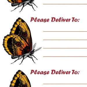Butterfly Orange Proszę dostarczyć do etykiet