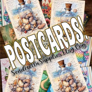 Carte postale Beaucoup de coquillages