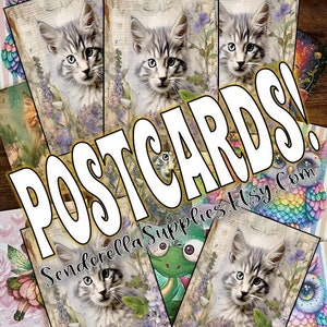 Chat gris avec fleurs violettes (4 identiques) Cartes postales