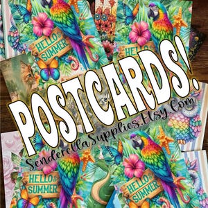Cartes postales d'été de perroquet du 29 mai