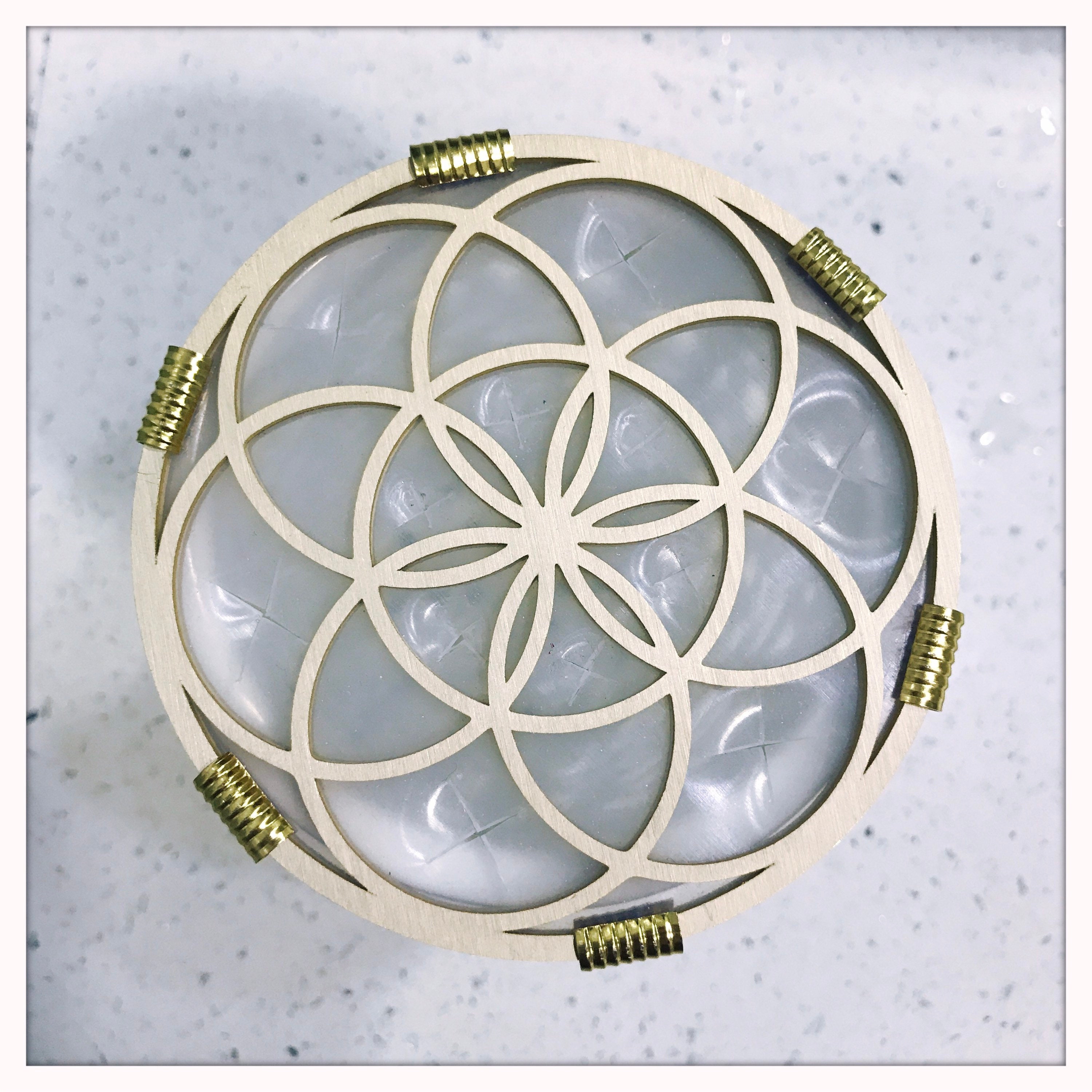 Paint Brush Holder Paint Brush Drying Rack Ceramic Palette Etsy Canada