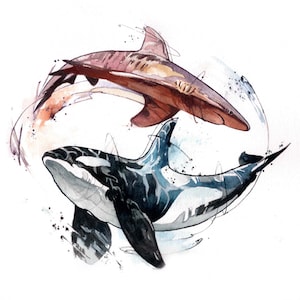 ORCA and TIGER SHARK