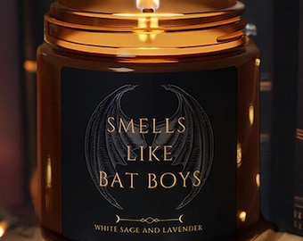 Bat Boys Candle | Bookish Gift | Romantasy Candle | BookTok Merch | Book Boyfriend Gift | Perfect for Bookworms