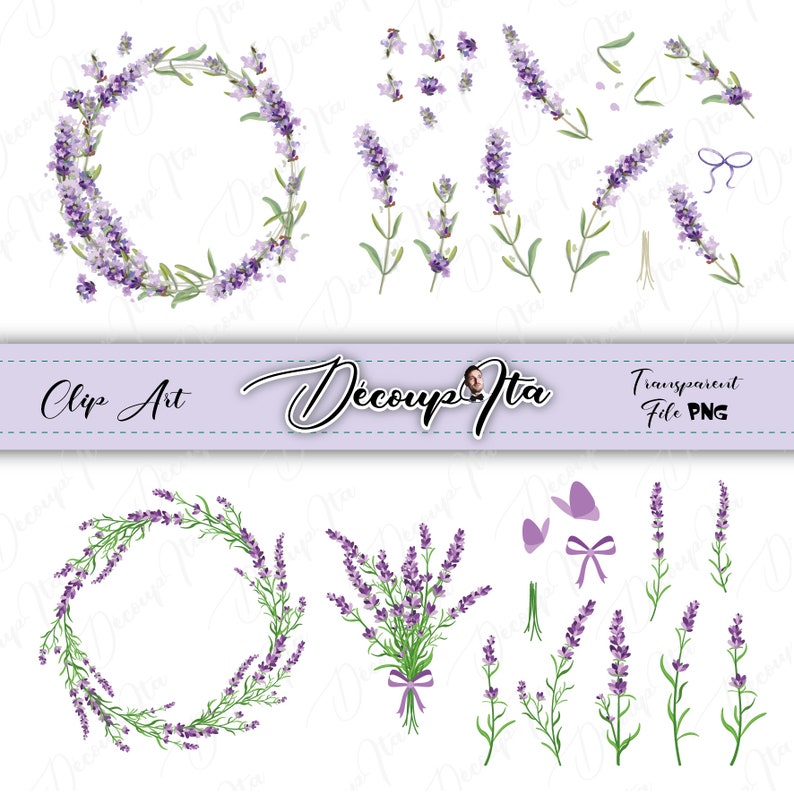 Beautiful Set, Floral Elements, Lavender, Flower, Watercolor, Cadre ...
