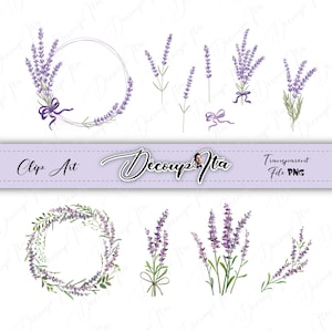 Beautiful set, floral elements lavander flower, lavender sprigs, wreaths and frames, Lavender field, fleurs, clip art, png, vector file, pdf