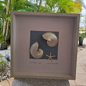 May include: Framed artwork featuring two golden nautilus shells and a starfish on a dark gray background. The artwork is encased in a light gray frame, with text at the bottom that reads "Pearl Nautilus - Gold" and "Coastal Inspirations Pic".