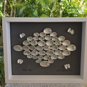 Abalone Muschel Cluster Wandkunst, Geometrische Muschel Anordnung, Küsten Wohnkultur