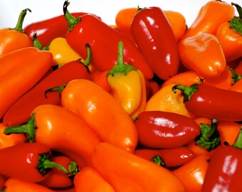 Heirloom pepper seeds