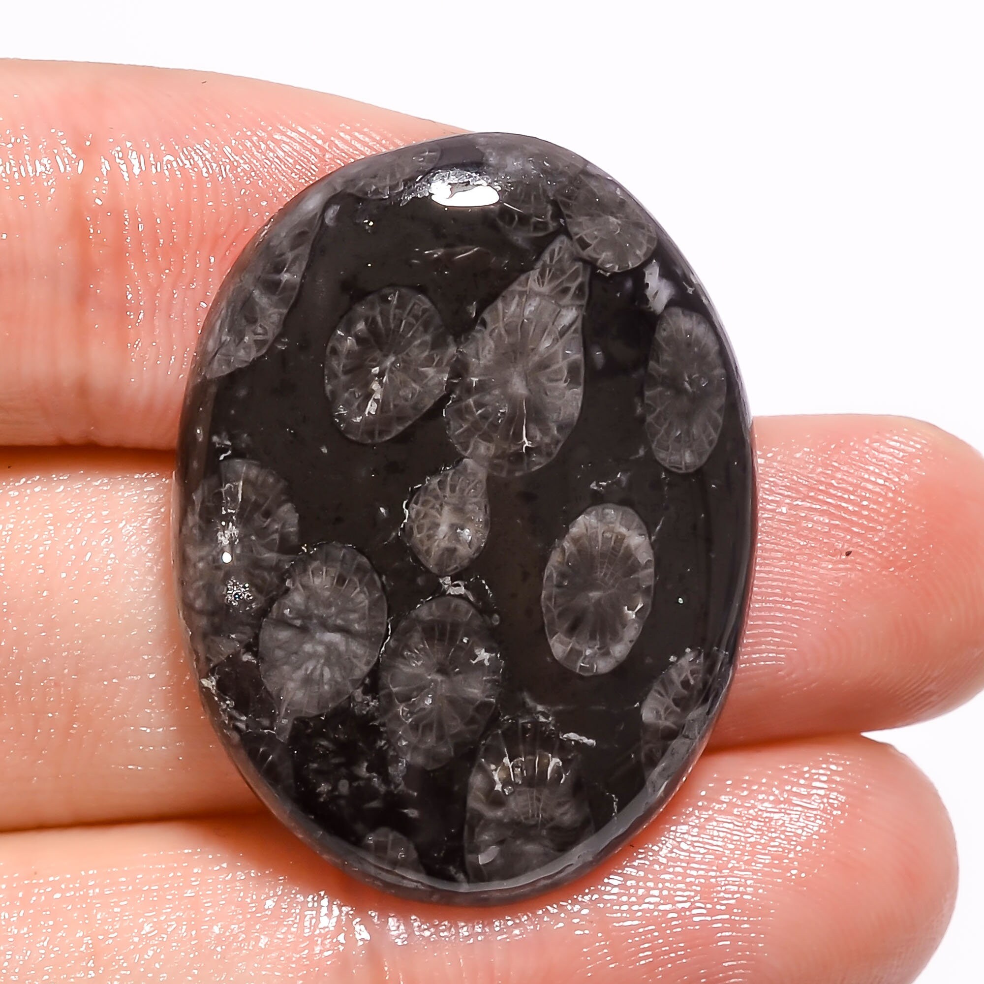 Fabulous Top Grade Quality 100% Natural Black Fossil Coral Oval Shape Cabochon Loose Gemstone For Making Jewelry 31X19X6 mm A-1498 29 Ct