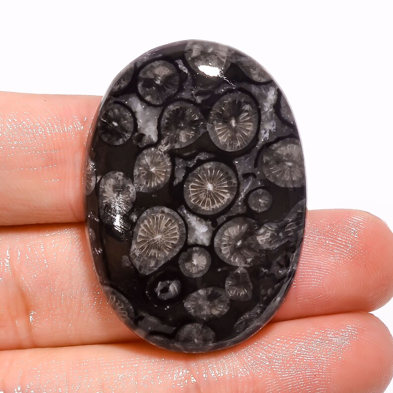 Fabulous Top Quality 100/% Natural Black Fossil Coral Oval Shape Cabochon Loose Gemstone For Making Jewelry 59 Ct 37X27X7 mm J-3860