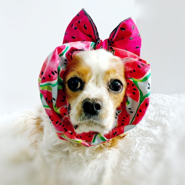 Watermelon Big Bow Dog Snood, Cotton Pet Snood,  Cavalier King Charles Snood, Cocker Snood, Spaniel Snood