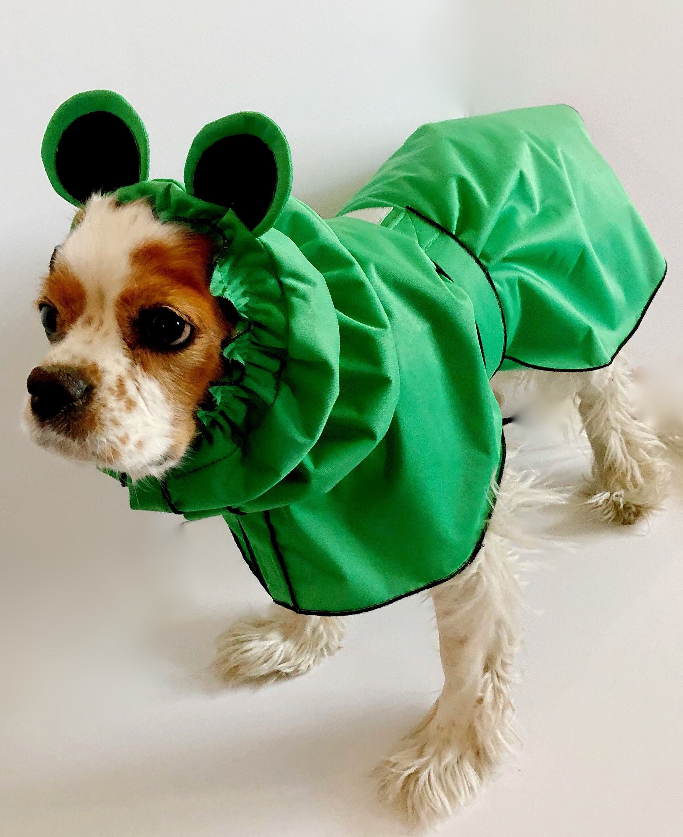 frog raincoat for dogs