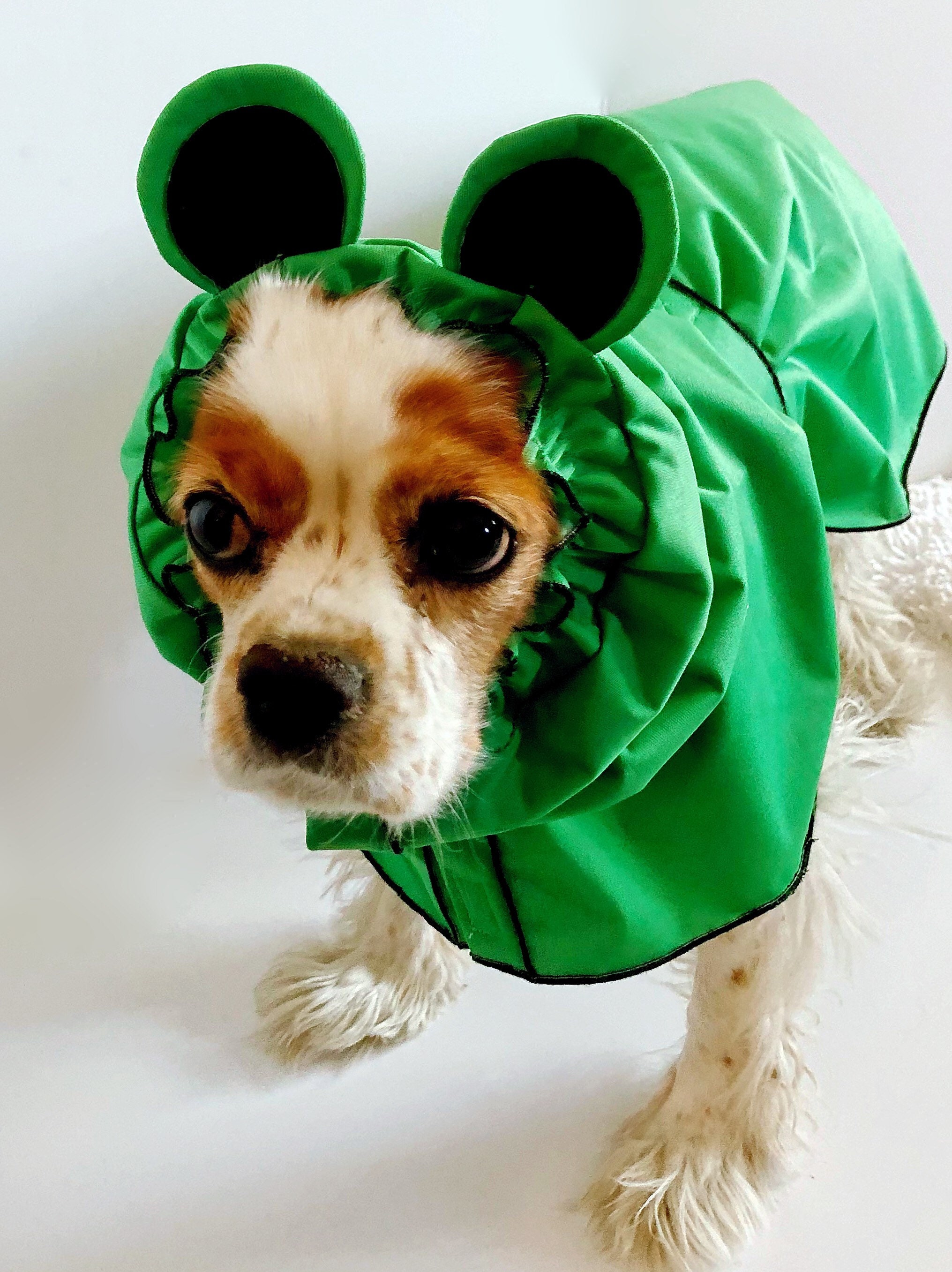 frog raincoat for dogs