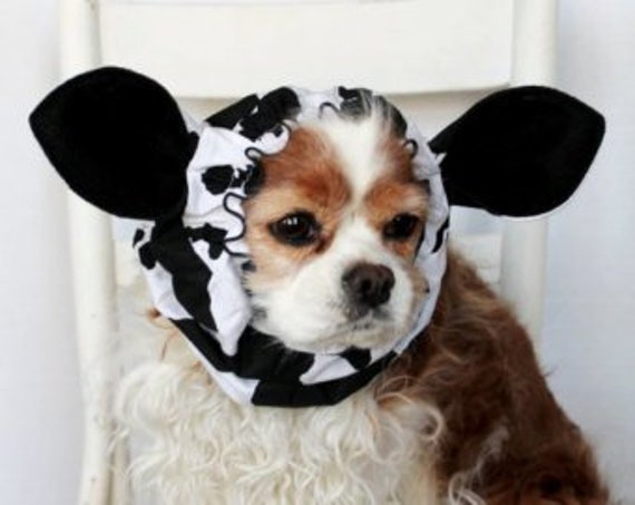 Cow Dog Snood Cotton Pet Snood Cavalier 