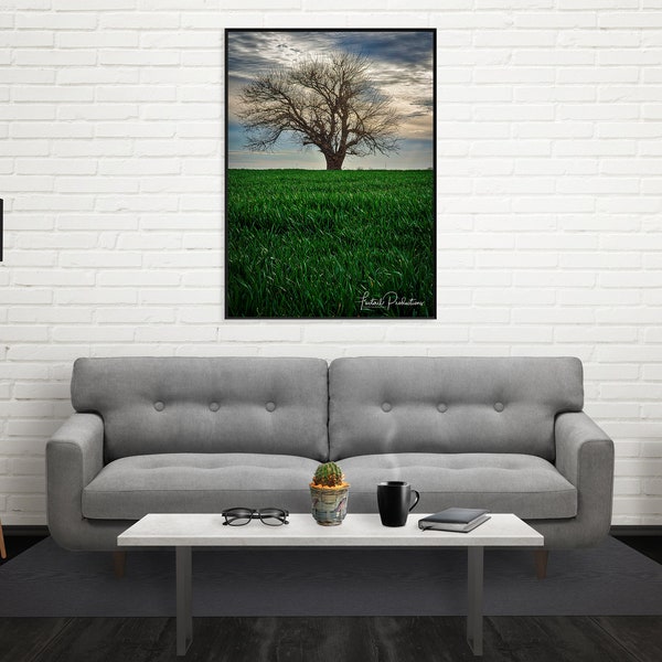 Tree Photography Print - Rural Tree in Lonely Wheat Field.