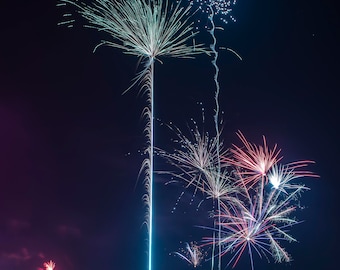 Fireworks Photography Print - "Palm Tree Paradise" Oklahoma Printable Wall Art, Fourth of July, Picture