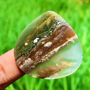Belle AGATE MOUSSE En bois pétrifié