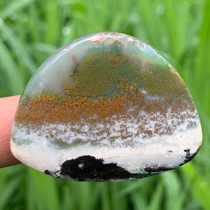 ARCOIRIS DE MADERA PETRIFICADA