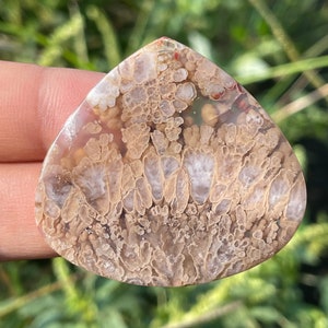 PLUME Agate With Copper Inside