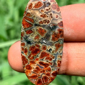 Plume agate with copper inside