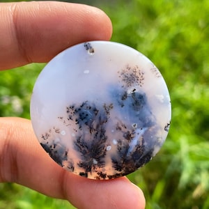 Ágata dendrita Imagen Colgante de ágata