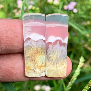 M0SS AGATE, INPETRIFIED WOOD Pairs
