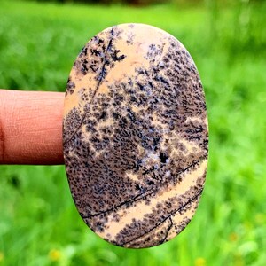 TIGER DENDRITE AGATE | picture agate