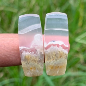 M0SS AGATE,In petrified WOOD Pairs