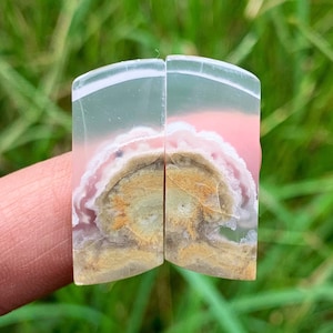 M0SS AGATE,In petrified WOOD Pairs |