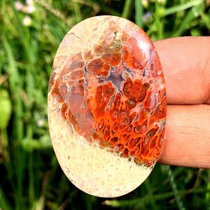 RED PLUME AGATE | Moss Agate | Special cabochon