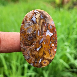 ESTROMATOLITO