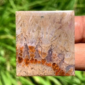 AGATE PLUME Rouge | Cabochon spécial |    parfait pour le cadeau | Indonésie