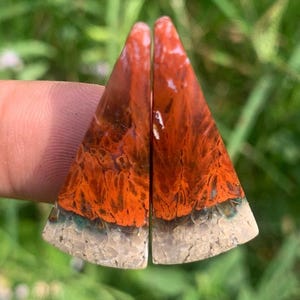 Paires d'Agate Plume Rouge - pierre à bijoux