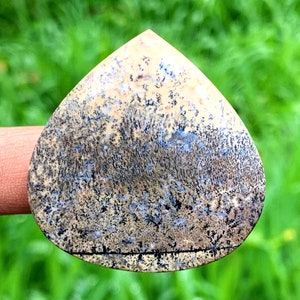 TIGER DENDRITE Agate / rare agate