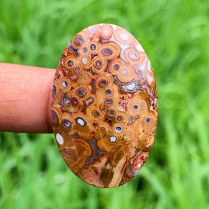 Impresionantes cabinas de estromatolitos para joyería