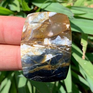 COMMON OPALIZED WOOD Cabochon | Best Quality | Perfect for gift | From Indonesia