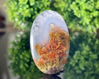 PLUME AGATE Multycolor - cabochon - jewelry