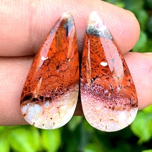Red Plume Agate Pairs - pour bijoux de boucles d’oreilles