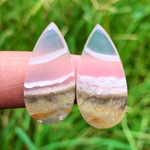 AGATE M0SS, BOIS INPETRIFIE Paires