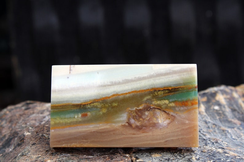 petrified wood scenery