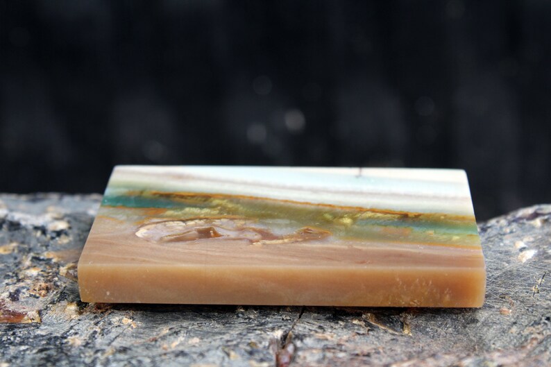 petrified wood scenery