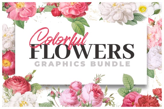 Flower Clipart Printable Floral Graphics Colorful Flowers Etsy Flower Clipart Printable Floral Graphics Colorful Flowers Etsy