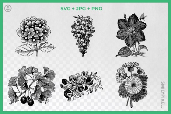 Download Vintage Flowers Svg Black And White Flowers Clipart Flowers Etsy