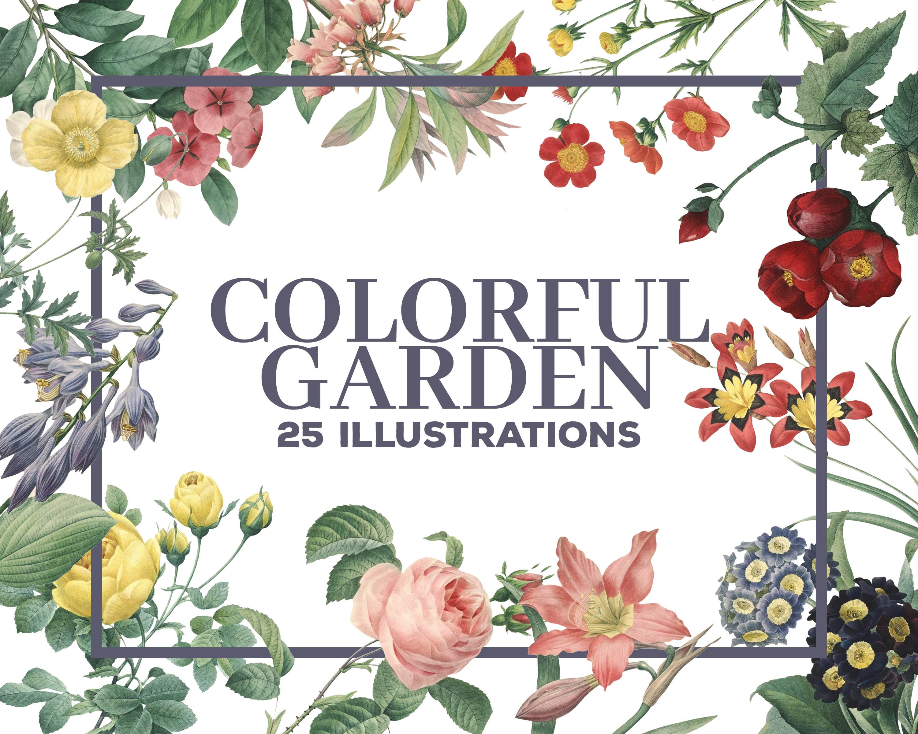 Garden Png Clipart 25 Colorful Garden Flowers Clipart Etsy Garden Png Clipart 25 Colorful Garden Flowers Clipart Etsy