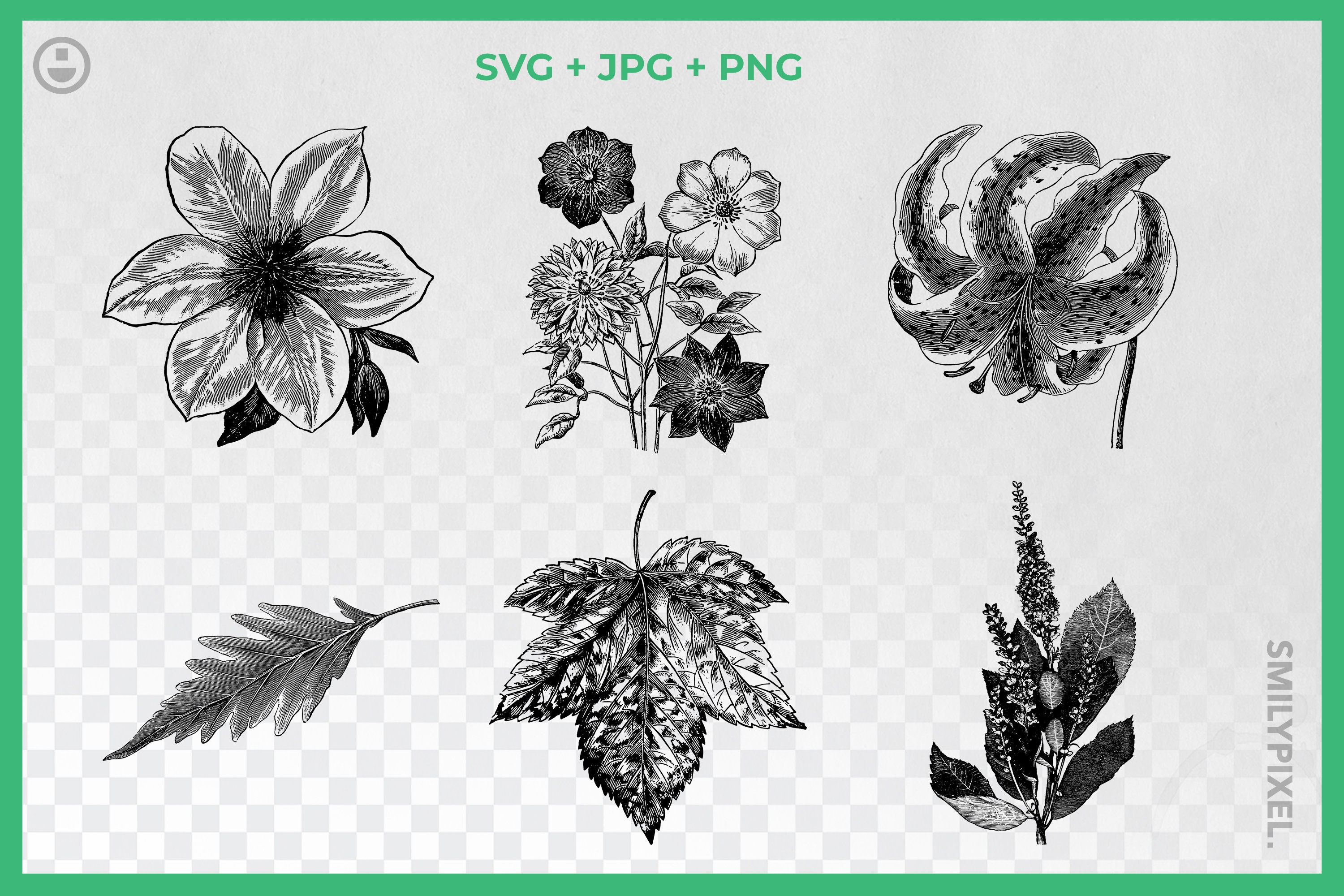 Download Vintage Flowers Svg Black And White Flowers Clipart Flowers Etsy