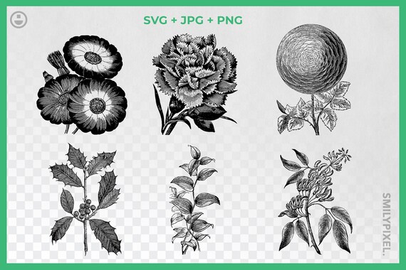 Download Vintage Flowers Svg Black And White Flowers Clipart Flowers Etsy
