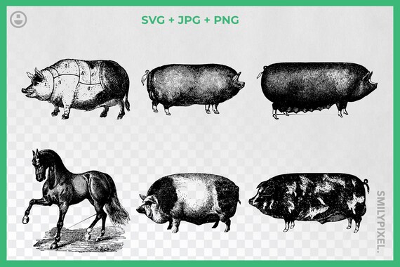Download Vintage Pig Svg Clipart Black And White Swine Hog Clipart Etsy
