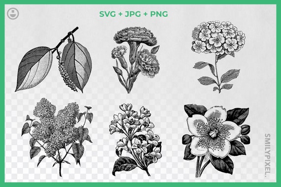 Free Free Flower Svg Black And White 54 SVG PNG EPS DXF File